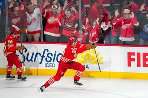 Image post by @polansky.photo on Instagram