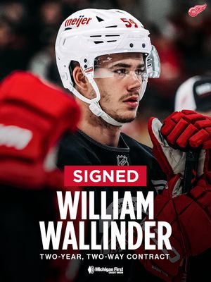 Image post by @detroitredwings on Instagram