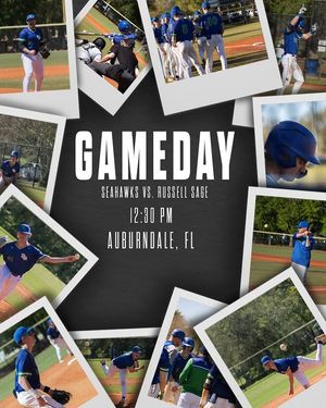 Image post by @salve_baseball on Instagram