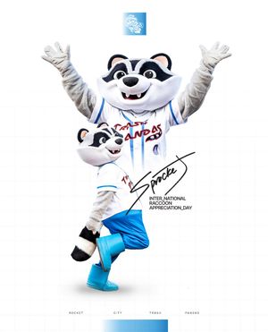 Image post by @trashpandasbaseball on Instagram