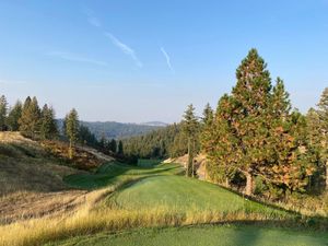 Image post by @evolvegolf on Twitter