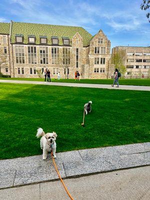 Image post by @bostoncollege on Instagram
