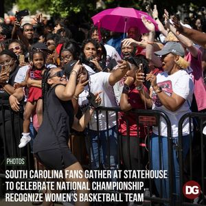 Image post by @dailygamecock on Instagram