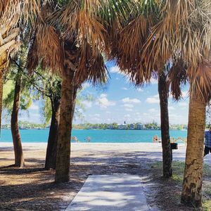 Image post by @visitsarasotacounty on Instagram
