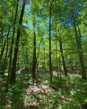 Image post by @motorcityaxe on Instagram