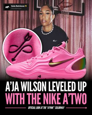 Image post by @soleretriever on Instagram
