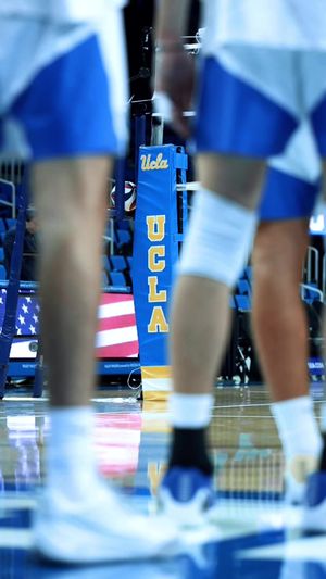 Video post by @hykchora on TikTok