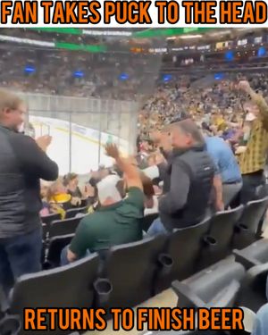 Image post by @hockeyfights on Instagram