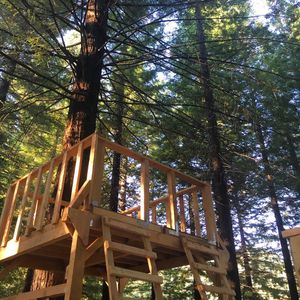 Image post by @nnmfestival on Instagram