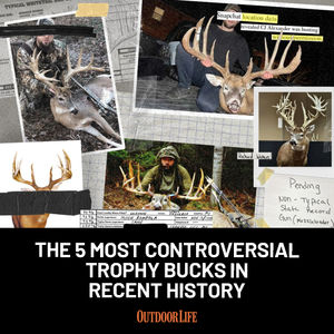 Image post by @outdoor_life on Instagram