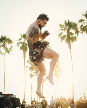 Image post by @platinummikeperry on Instagram