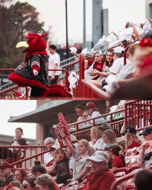 Image post by @gamecocksoftball on Instagram