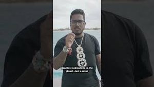 Video post by @greenpeace on YouTube
