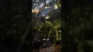 Video post by @accuweather on YouTube
