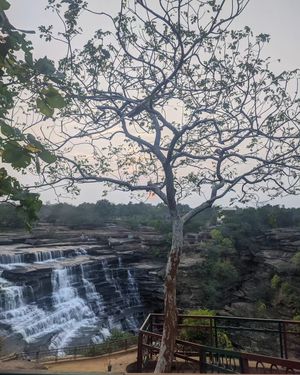 Image post by @rajdari_resort on Instagram