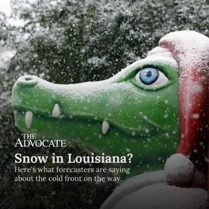Image post by @theadvocatebr on Instagram