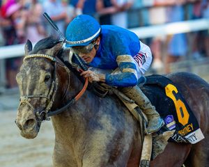 Image post by @godolphin on Instagram