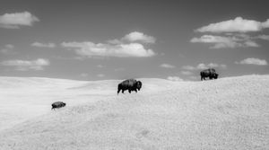 Image post by @chandlerwebercreative on Instagram