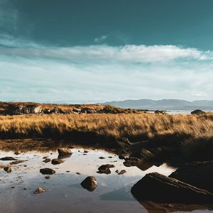 Image post by @creative_moxie on Instagram