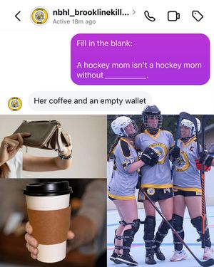 Image post by @nationalballhockeyleague on Instagram