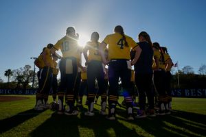 Image post by @umichsoftball on Twitter