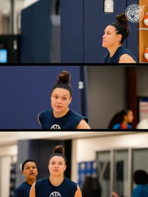 Image post by @minnesotalynx on Instagram