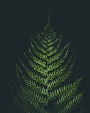 Image post by @kszczuka on Instagram