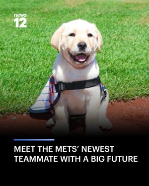 Image post by @news12li on Instagram