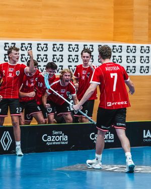 Image post by @iff_floorball on Instagram