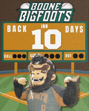 Image post by @bigfootsbaseball on Instagram