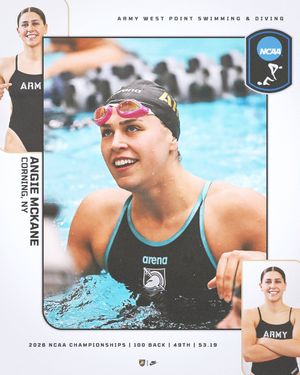 Image post by @ArmyWP_SwimDive on Twitter