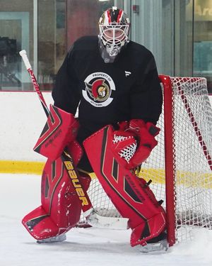 Image post by @goaliegearnerd on Instagram