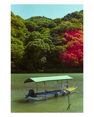 Image post by @W.39thPhotos on Facebook
