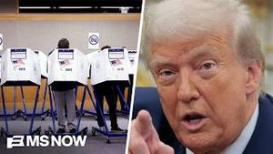 Video post by @msnbc on YouTube