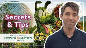Video post by @disneyparks on YouTube