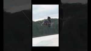 Video post by @zebpowelll on YouTube