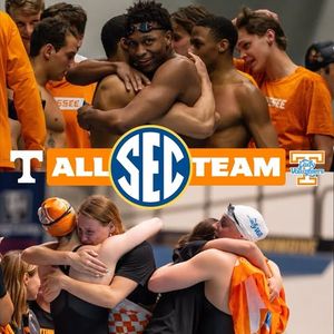 Image post by @vol_swimdive on Instagram