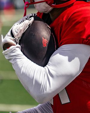 Image post by @unmlobofb on Instagram
