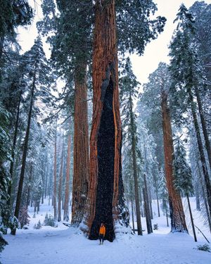 Image post by @nationalparkscollective on Instagram