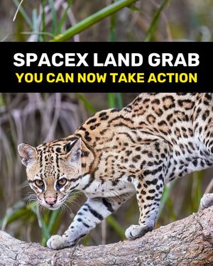 Image post by @centerforbiodiv on Instagram