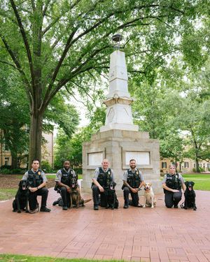 Image post by @uofsc on Instagram