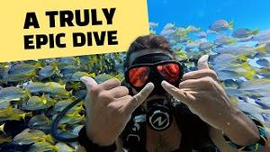 Video post by @sailing_with_phoenix on YouTube