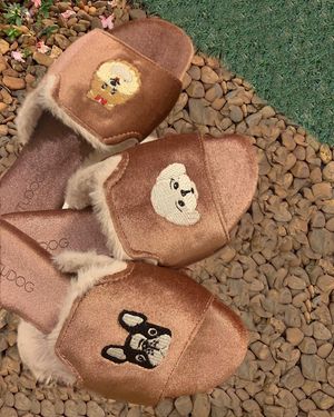 Image post by @pantudog on Instagram