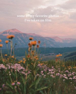 Video post by @filmbychloeg on TikTok
