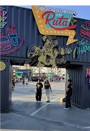Video post by @mirdemirdemirer on TikTok