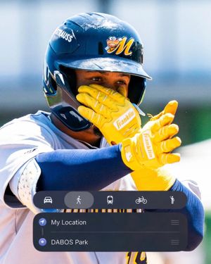 Image post by @biscuitbaseball on Instagram