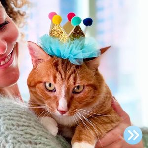 Image post by @walmart on Instagram