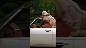 Video post by @mgmstudios on YouTube