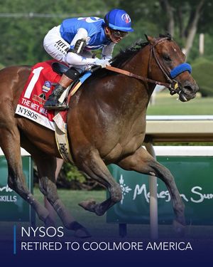 Image post by @coolmoreamerica on Instagram