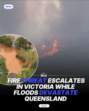 Image post by @dailymailau on TikTok